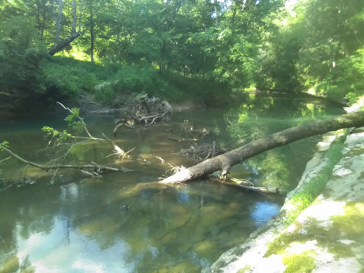 2359 Mack Floyd Rd, Sparta, TN 38583 - Image #1