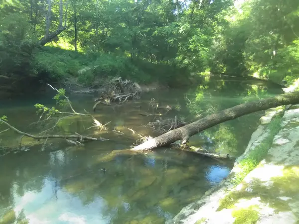 2359 Mack Floyd Rd, Sparta, TN 38583