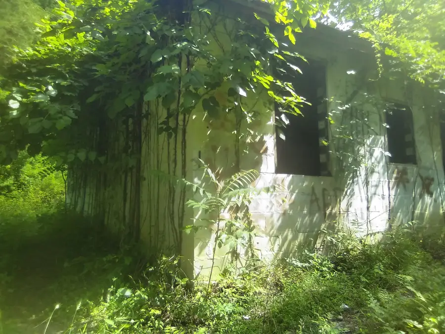 2359 Mack Floyd Rd, Sparta, TN 38583 - Image #2