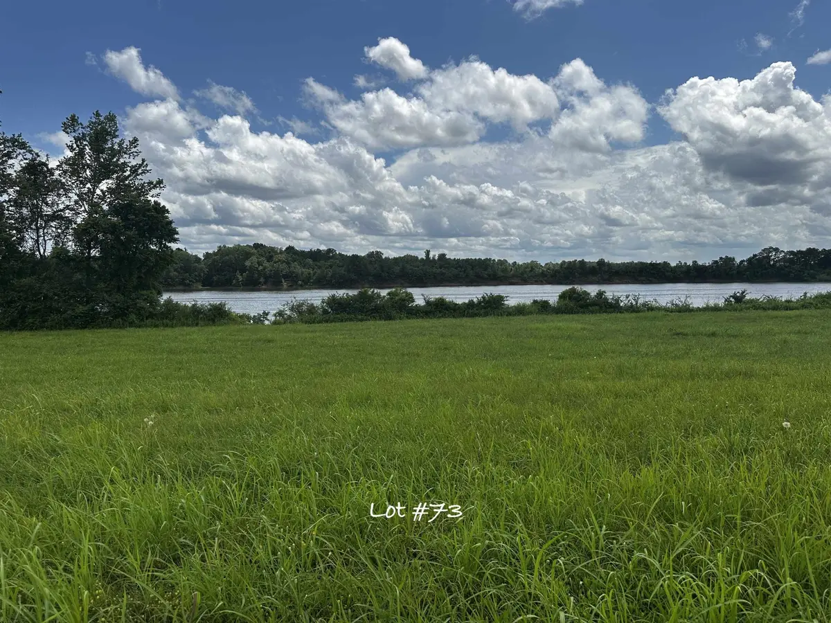 0 Catfish Ln, Crump, TN 38327 - Image #1