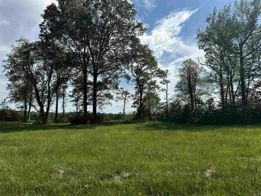 0 Catfish Ln, Crump, TN 38327 - Image #3