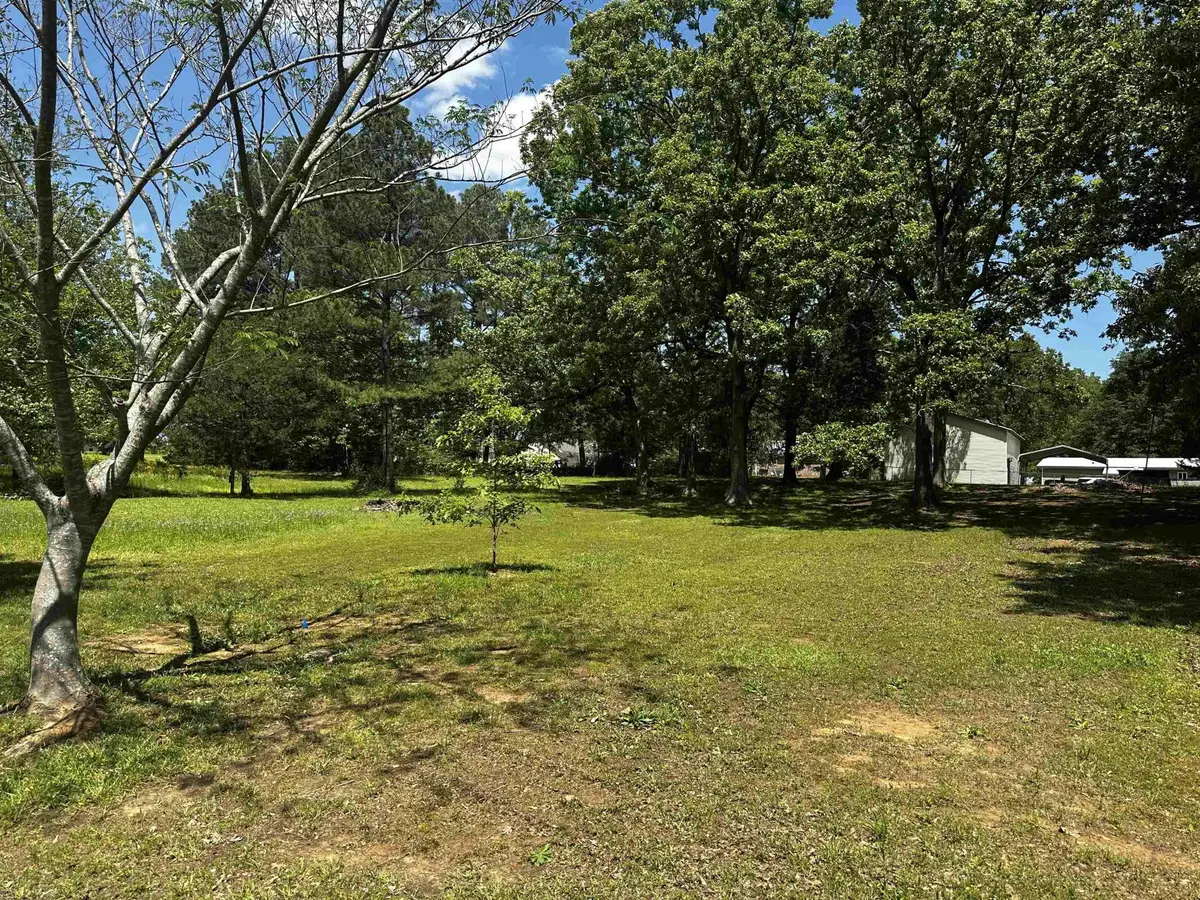 35 Sauger Rd, Crump, TN 38327 - Image #1