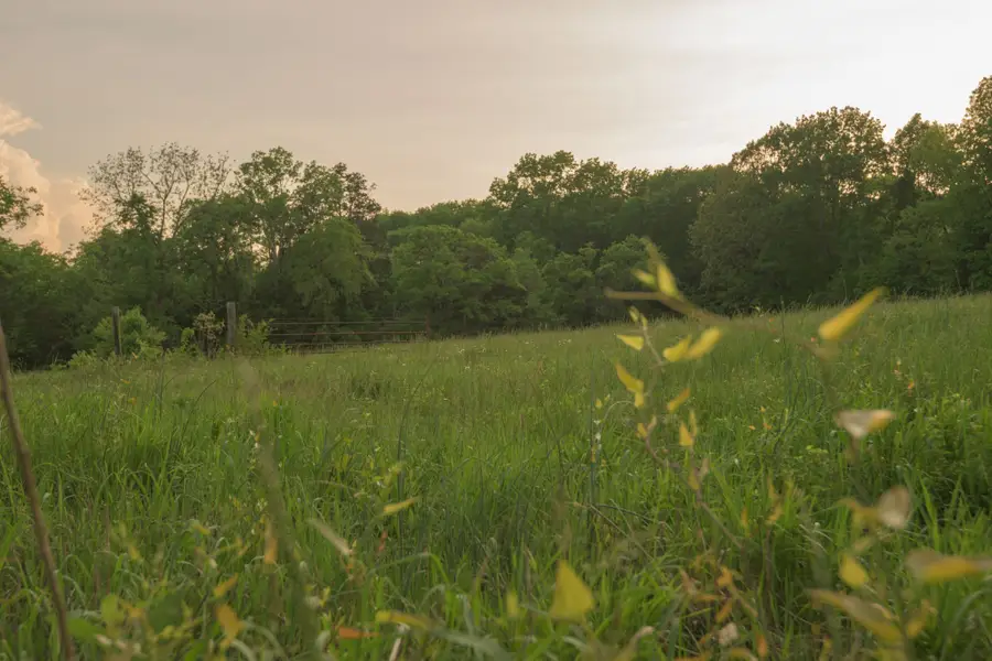 775 Railroad Rd, Wartrace, TN 37183 - Image #3