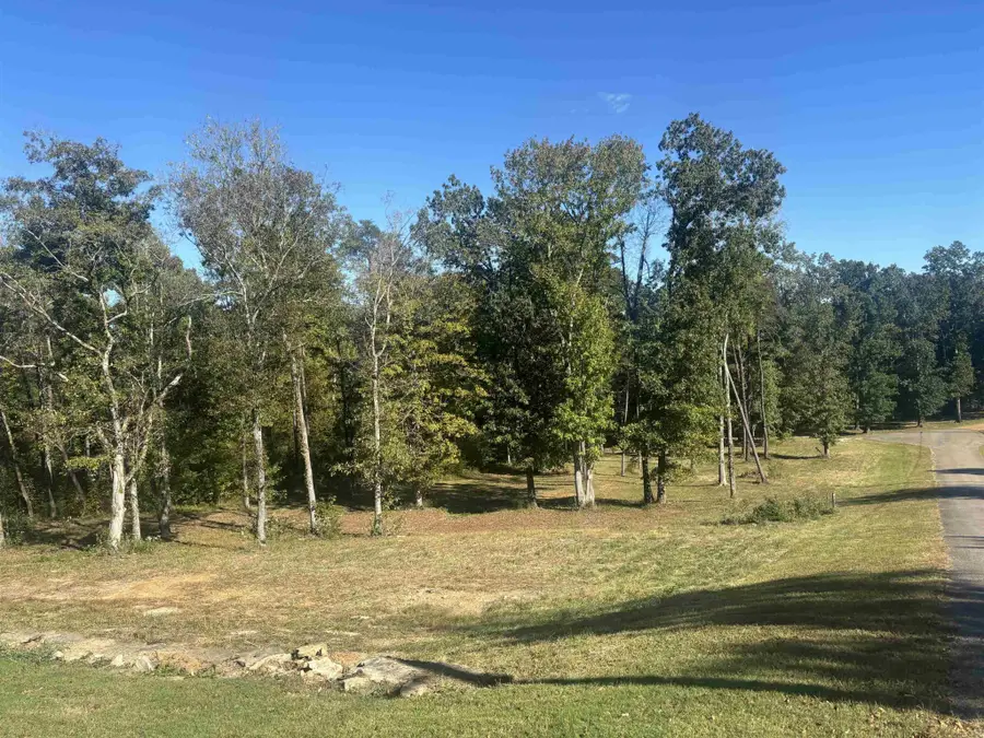 0 Mariah Ln, Bath Springs, TN 38311 - Image #2