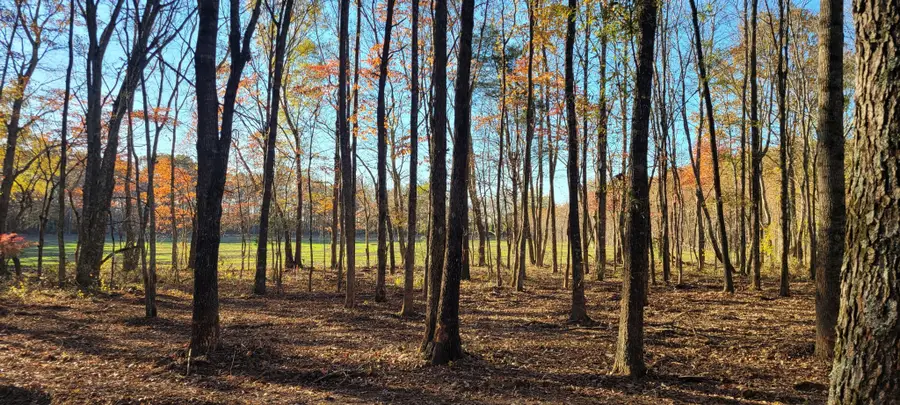 1 Summitville Rd, Morrison, TN 37357 - Image #2