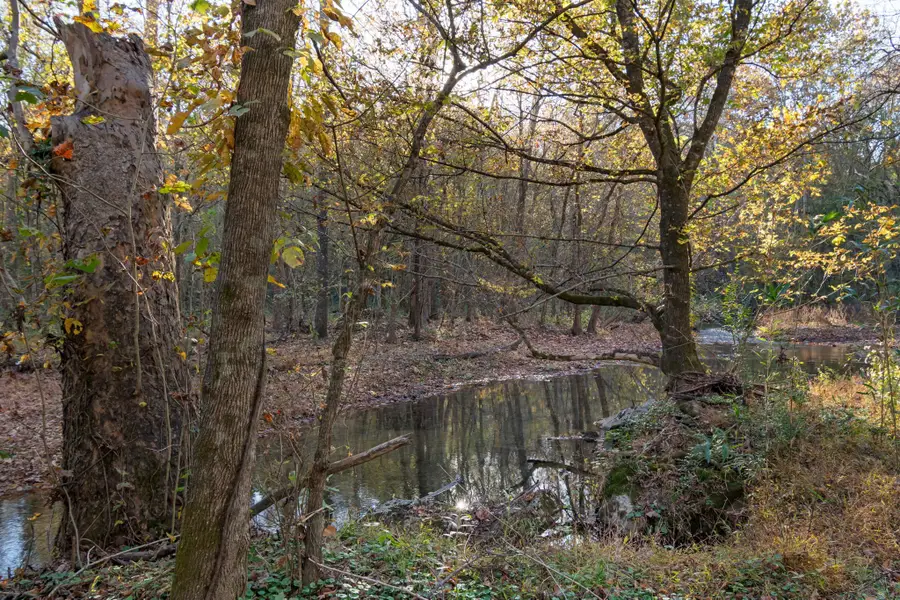 0 Short Creek Rd, Linden, TN 37096 - Image #2