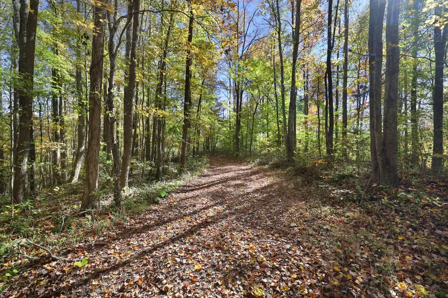 0 Smithville Hwy, Silver Point, TN 38582 - Image #2