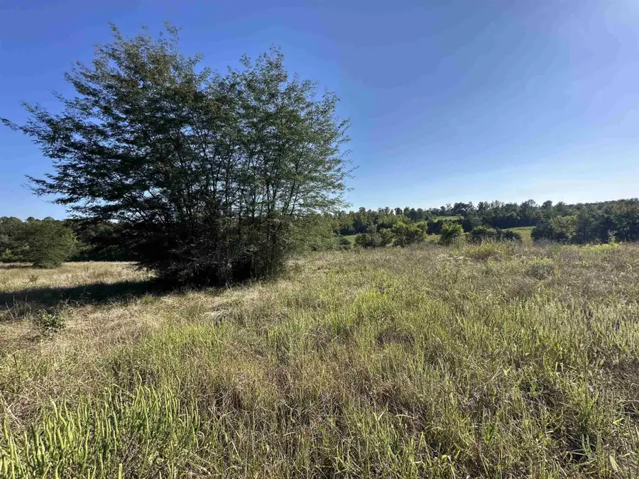 0 Middleburg Rd, Decaturville, TN 38329 - Image #2