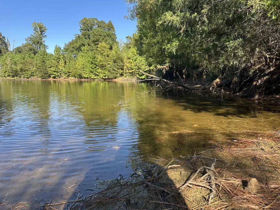 0 Middleburg Rd, Decaturville, TN 38329 - Image #3