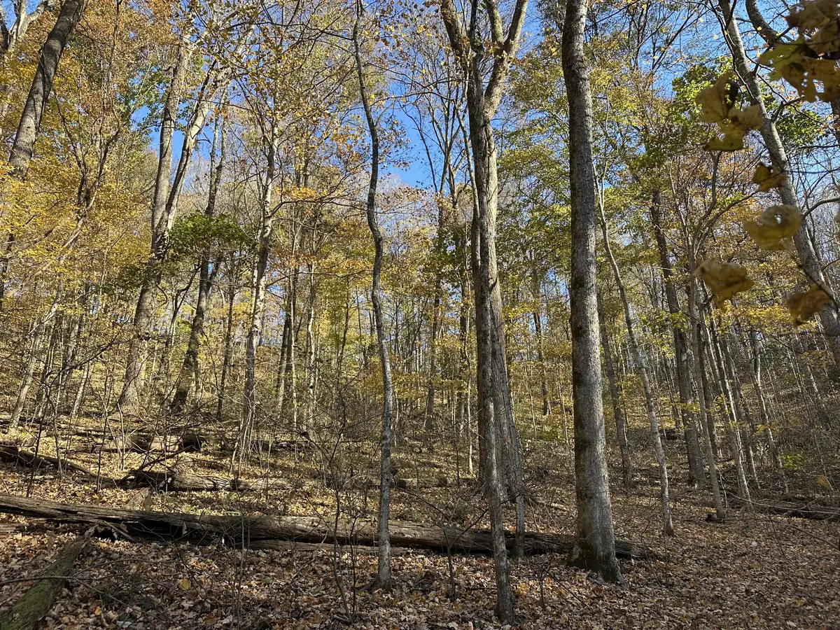 0 Lake View Drive, Smithville, TN 37166 - Image #1