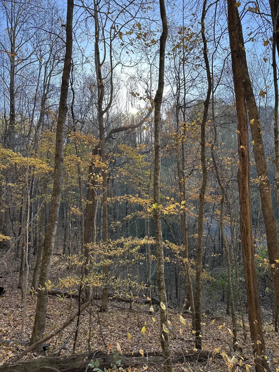 0 Lake View Drive, Smithville, TN 37166 - Image #2