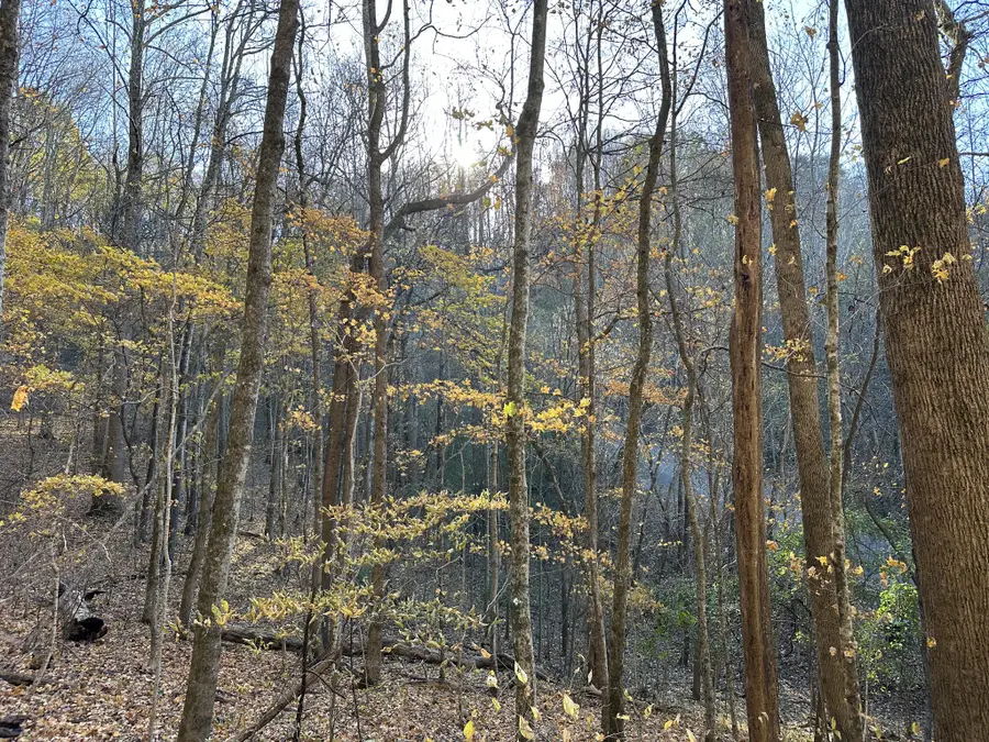 0 Lake View Drive, Smithville, TN 37166 - Image #3