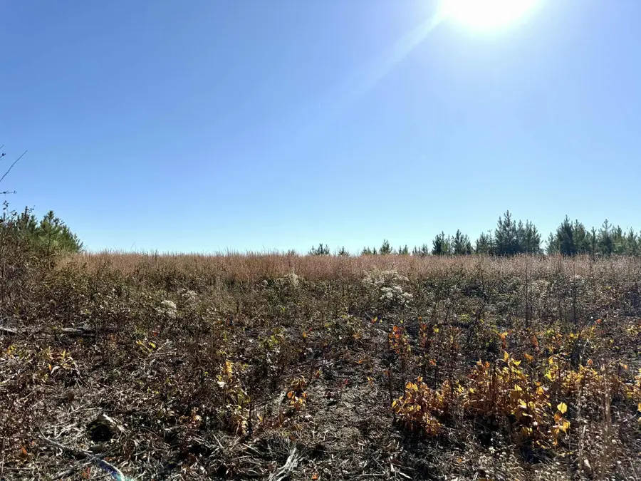 0 St Rt 399, Dunlap, TN 37327 - Image #2