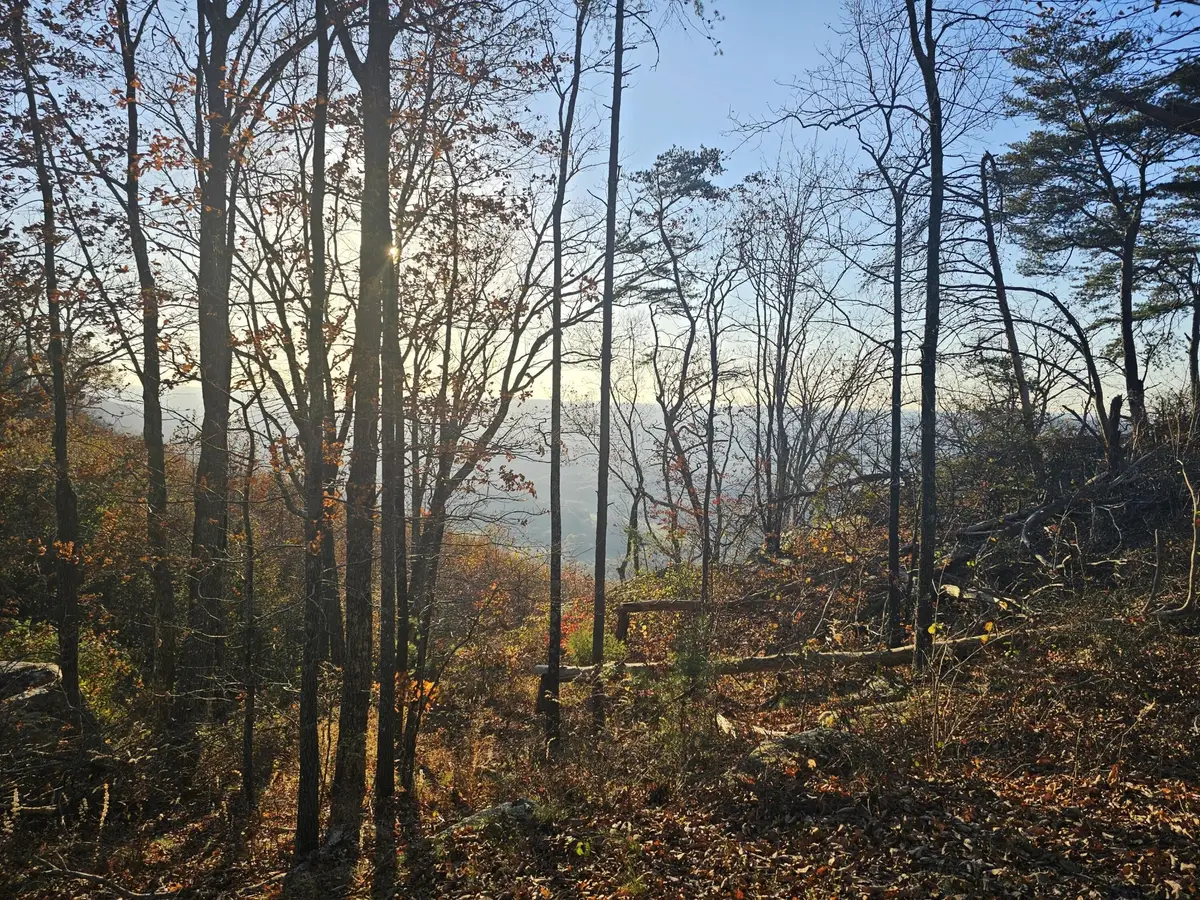 407 Brow Wood Lane, Lookout Mountain, GA 30750 - Image #1