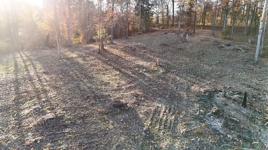 0 Chestnut Grove Rd, Pulaski, TN 38478 - Image #2