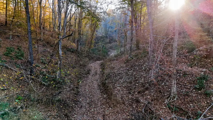 0 Chestnut Grove Rd, Pulaski, TN 38478 - Image #3