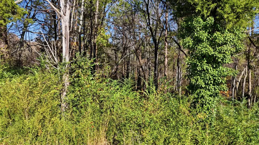 0 Sierra Drive, Dayton, TN 37321 - Image #2