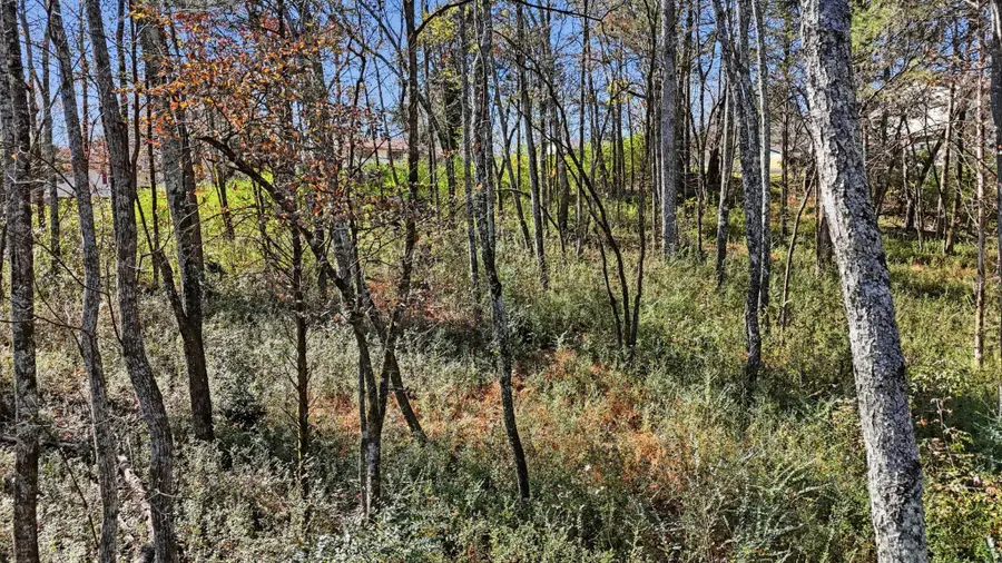 0 Sierra Drive, Dayton, TN 37321 - Image #3