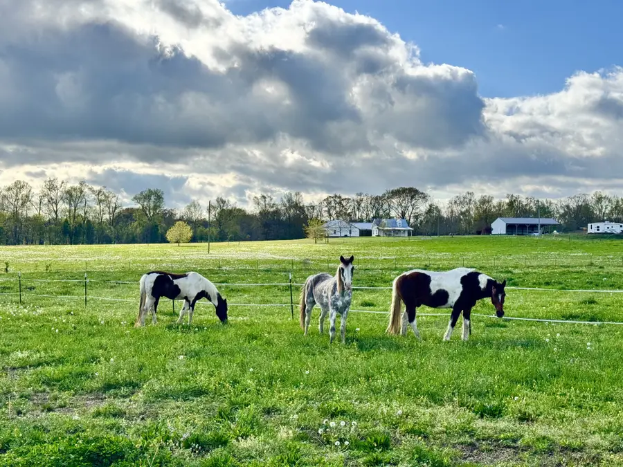 11250 Shelbyville Rd, Morrison, TN 37357 - Image #3