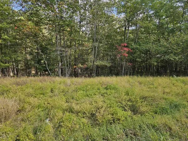 0 Holly Lane, Spencer, TN 38585