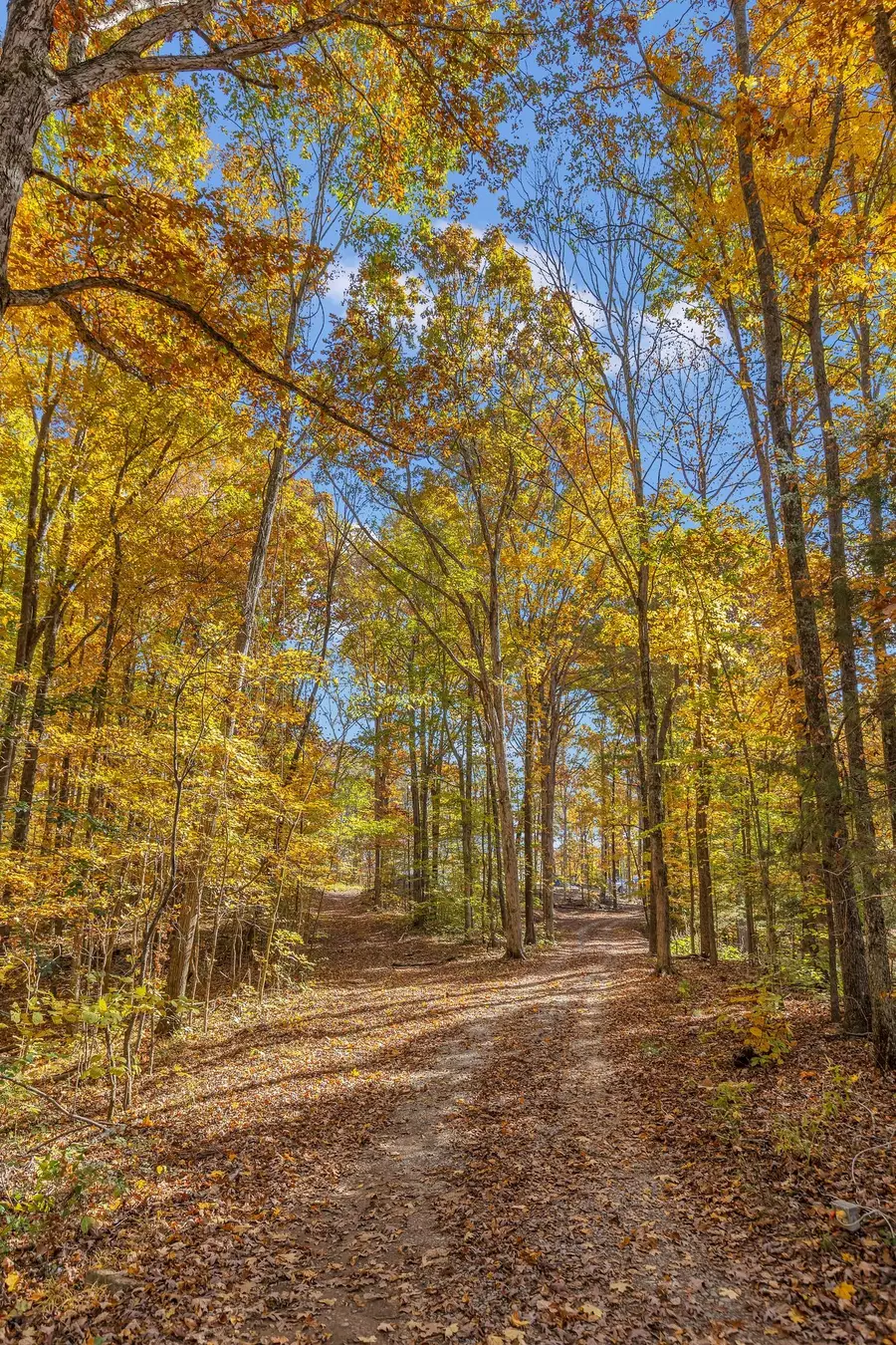 1618 C C Road, Kingston Springs, TN 37082 - Image #2