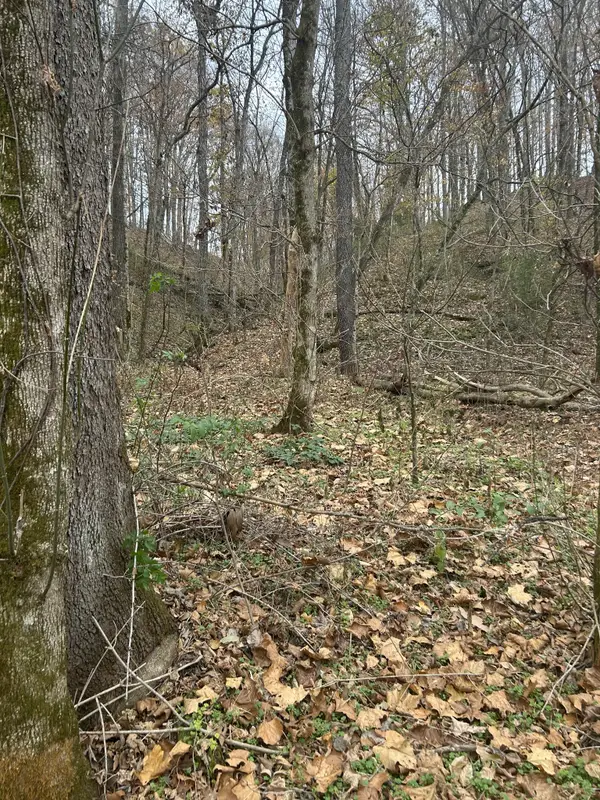 0 Red Boiling Road Springs, Red Boiling Springs, TN 37150