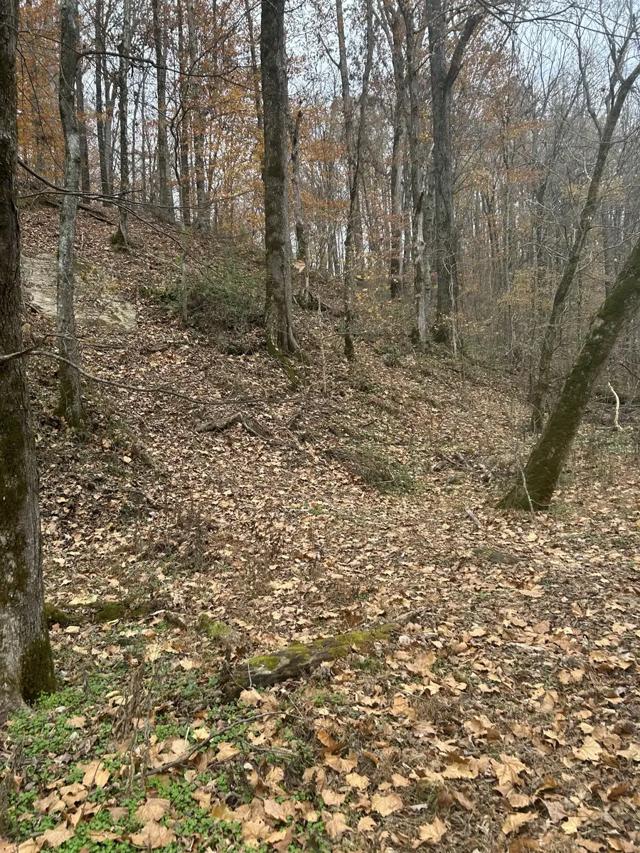 0 Red Boiling Road Springs, Red Boiling Springs, TN 37150 - Image #2