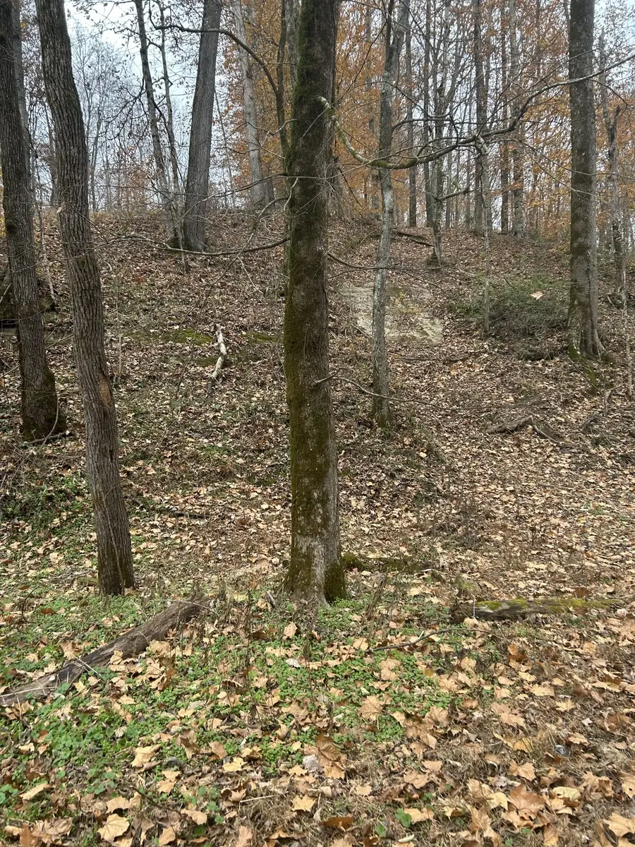 0 Red Boiling Road Springs, Red Boiling Springs, TN 37150 - Image #3