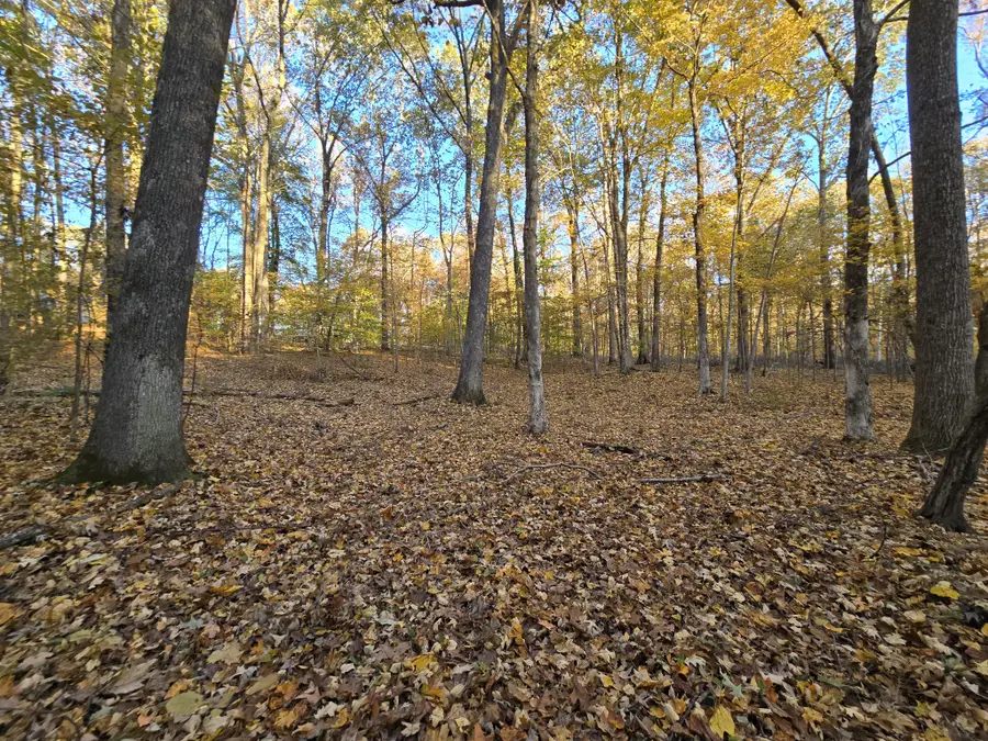 14 Rockcastle Shores, Cadiz, KY 42211 - Image #2