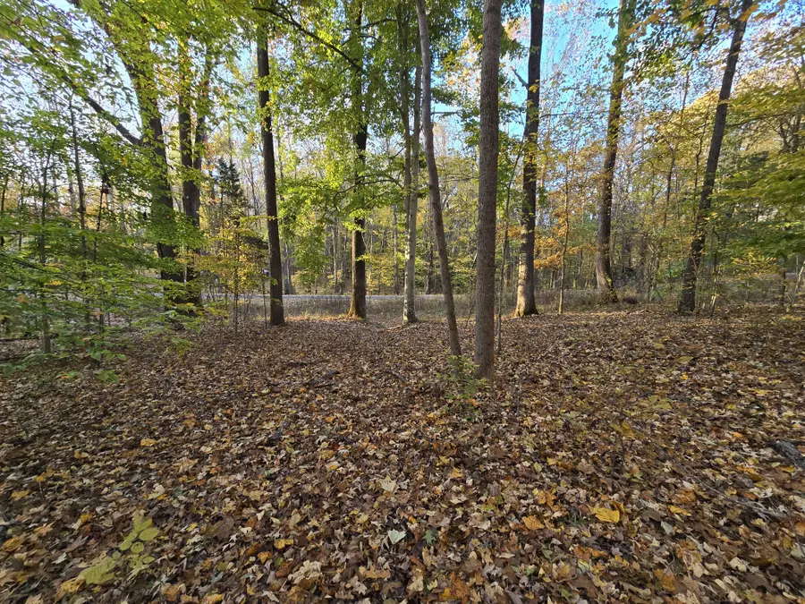 14 Rockcastle Shores, Cadiz, KY 42211 - Image #3