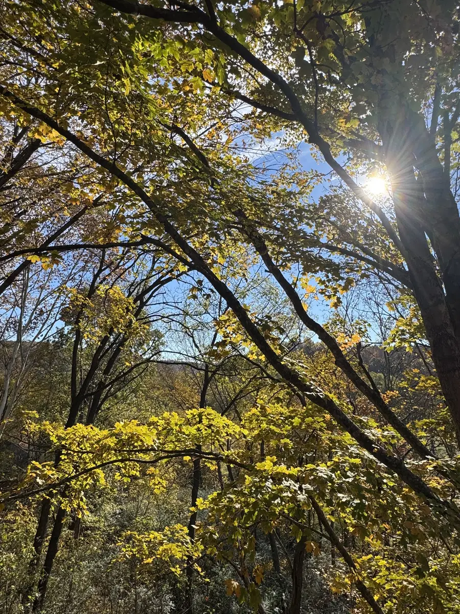 1304 Sycamore Valley Rd, Ashland City, TN 37015 - Image #3