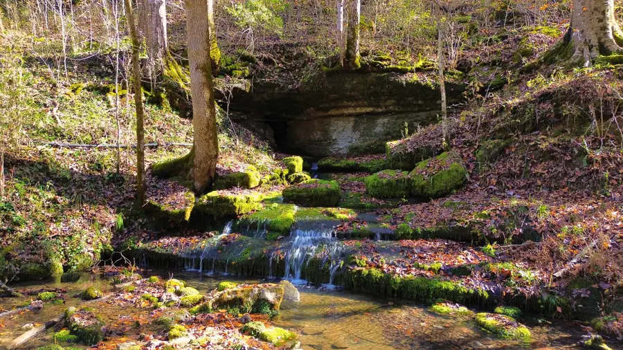 0 Hollis Creek Rd S, Woodbury, TN 37190 - Image #2