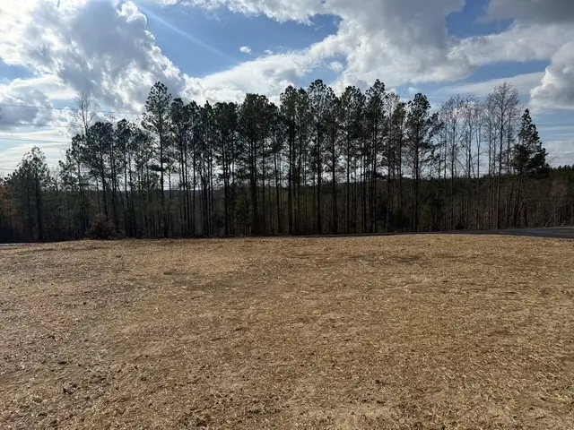 34 Pafford Ln, Erin, TN 37061 - Image #3