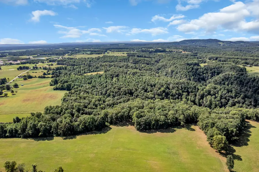 0 Lee Braswell Rd, Smithville, TN 37166 - Image #2