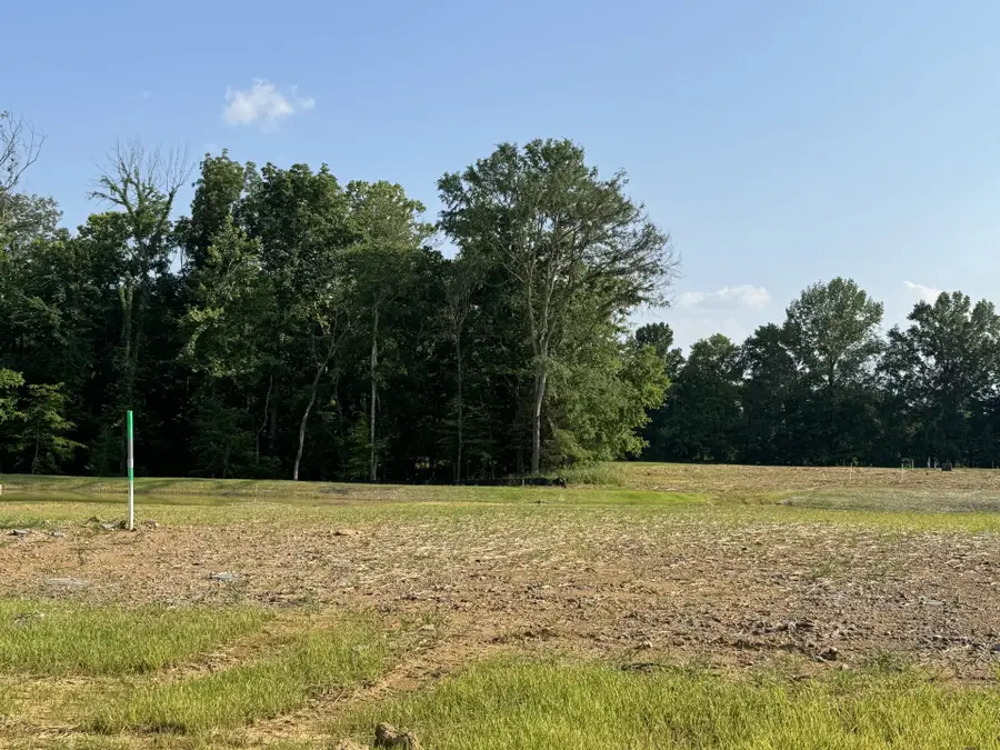 5166 High Park Hill Dr, Arrington, TN 37014 - Image #2