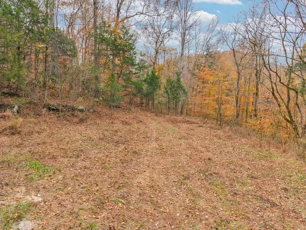 0 Ensor Hollow Rd, Buffalo Valley, TN 38548 - Image #1