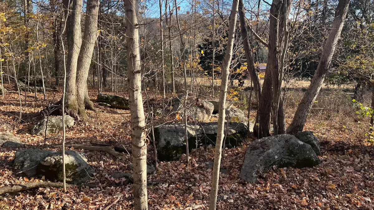 1 Adams Rd, Watertown, TN 37184 - Image #1