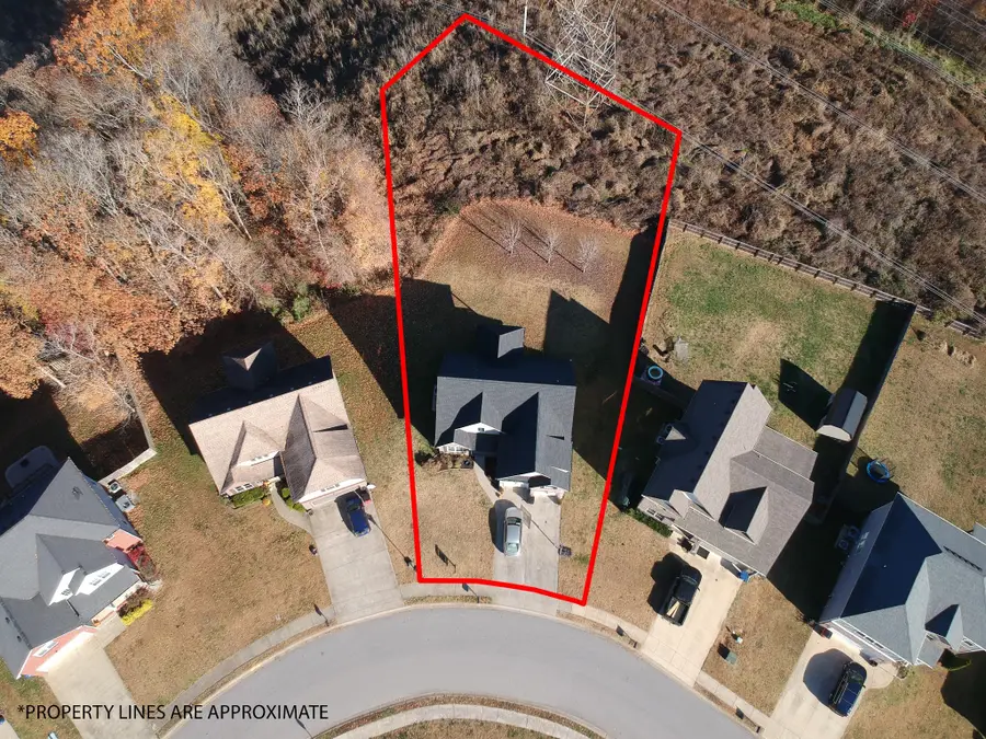 1037 Quiver Ln, Clarksville, TN 37043 - Image #3