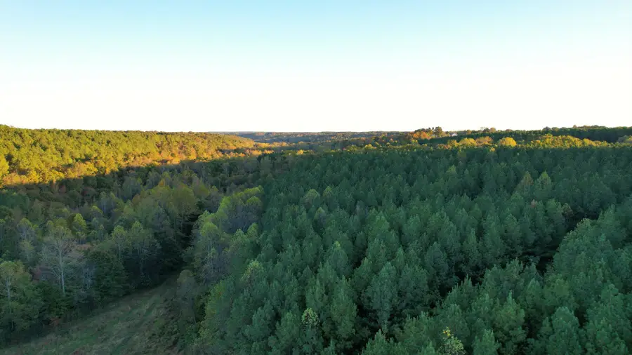 0 Hughes Farm Road, Collinwood, TN 38450 - #3