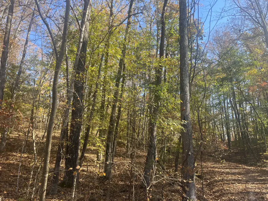 0 Arrow Head Circle, Parsons, TN 38363 - Image #2