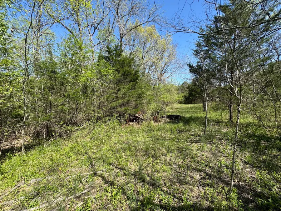 0 Canoe Branch Rd, Lebanon, TN 37087 - Image #2