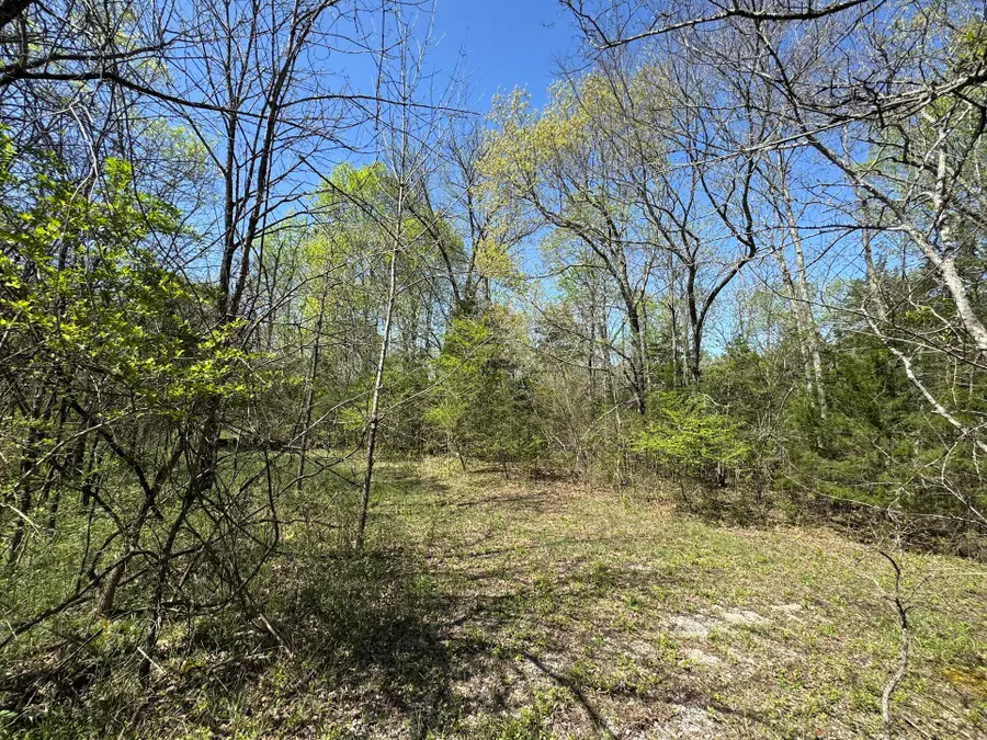 0 Canoe Branch Rd, Lebanon, TN 37087 - Image #3