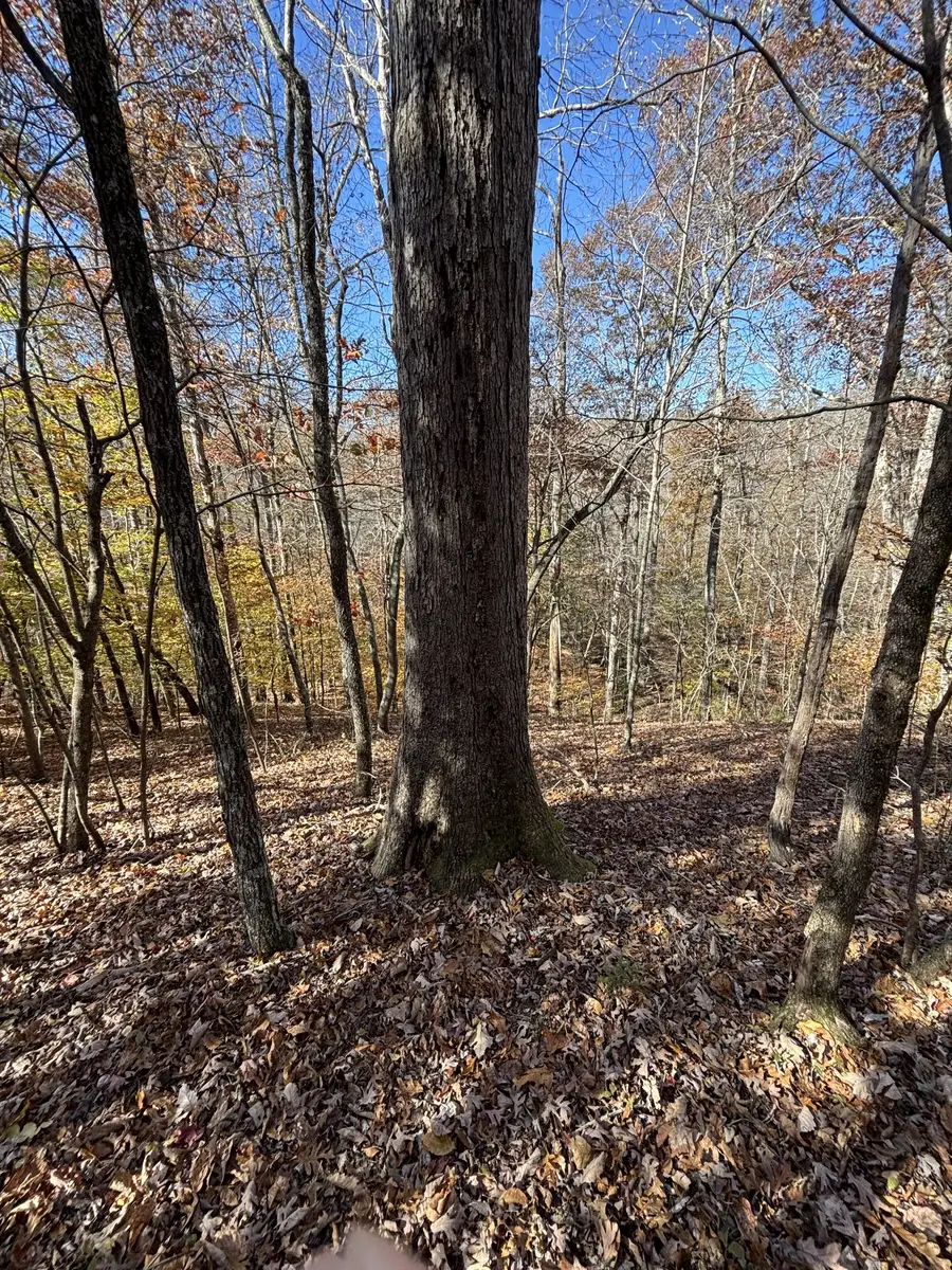 1212 Second Creek Rd, Lutts, TN 38471 - Image #2