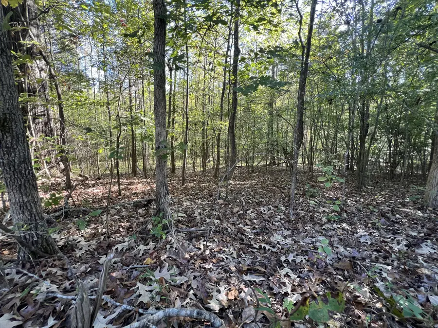 0 Tobaccoport Rd, Bumpus Mills, TN 37028 - Image #2