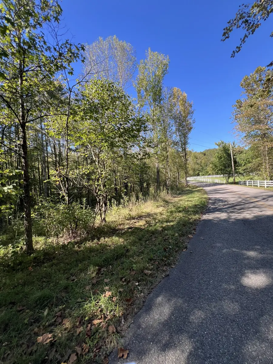 0 Tobaccoport Rd, Bumpus Mills, TN 37028 - Image #3