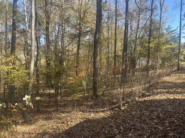 0 Indian Park Dr, Parsons, TN 38363