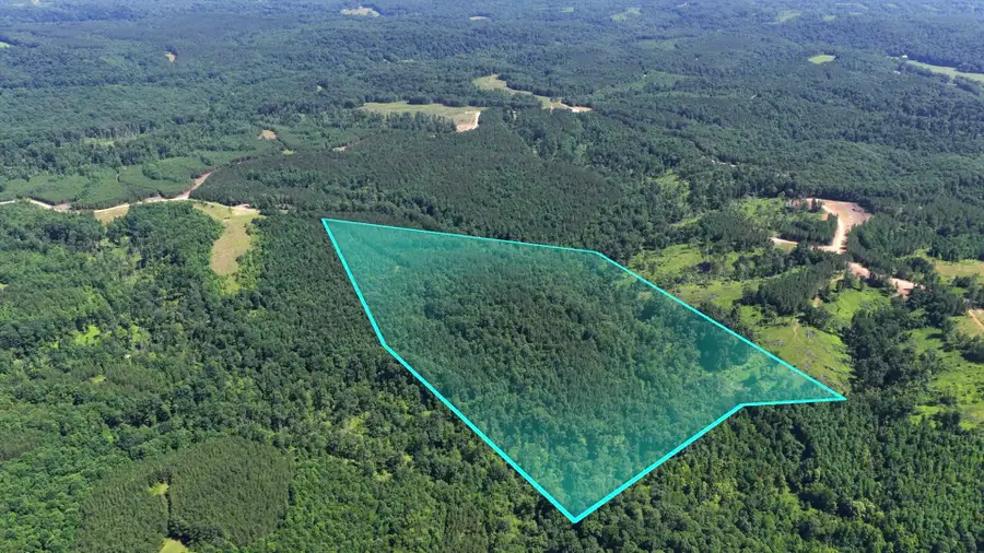 0 Cox Hollow Rd, Dover, TN 37058 - Image #2