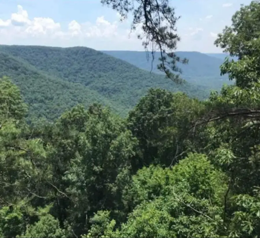 41 Wohalie Lane, South Pittsburg, TN 37380 - Image #2