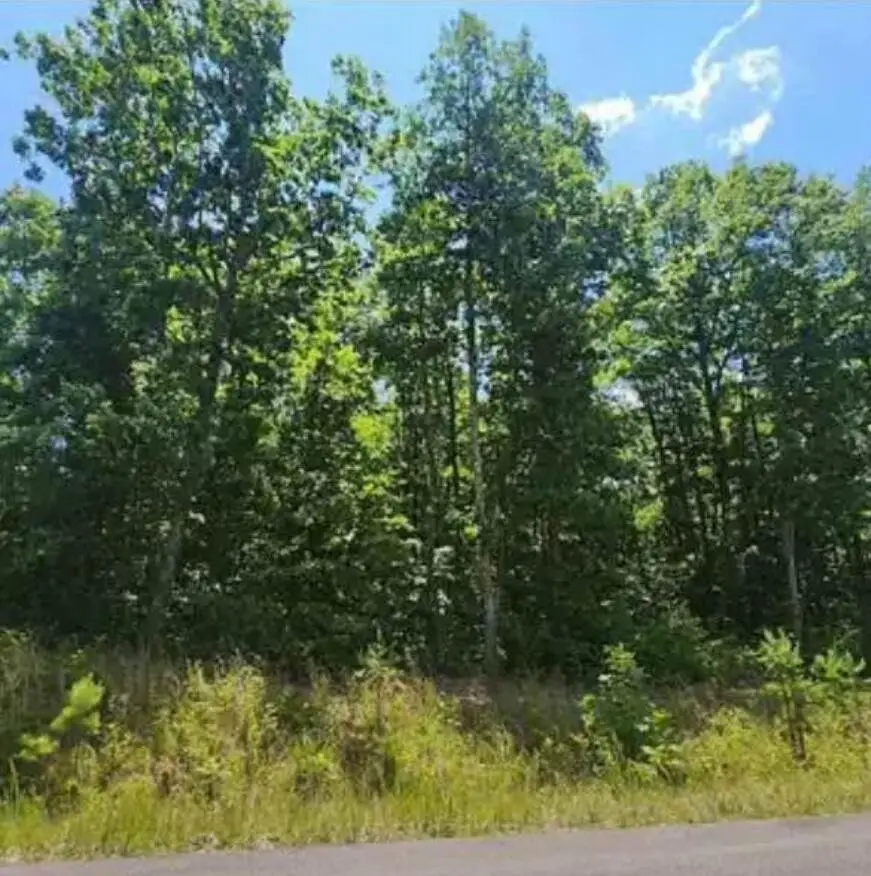 41 Wohalie Lane, South Pittsburg, TN 37380 - Image #3