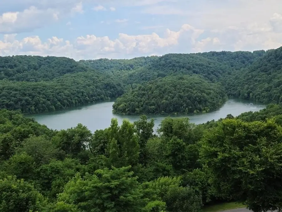 20 Bella Grace Ct, Smithville, TN 37166 - Image #3